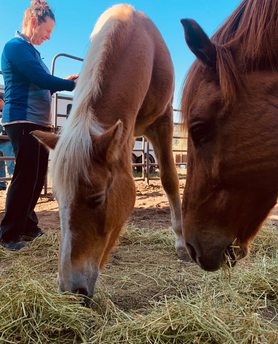 Equine-assisted therapy at Whose Land