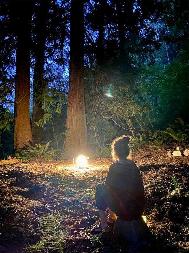Lantern-lit path through the forest