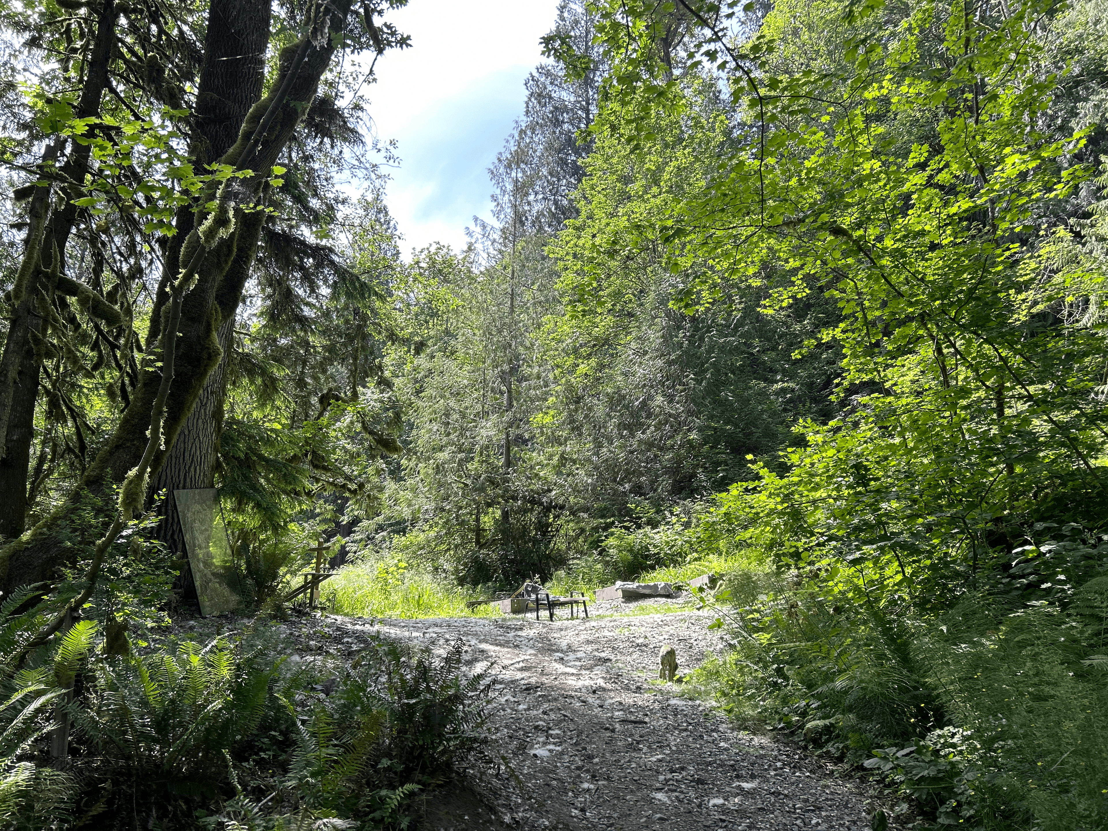 Forest around Whose Land